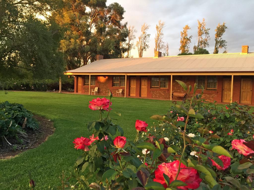 Coonawarra Place Motor Inn Exterior foto